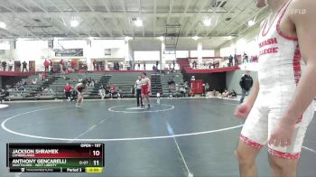 125 lbs Cons. Semi - Andrew Punzalan, Wabash vs Trevor Hisey, Indiana Tech