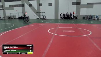 108 lbs Cons. Semi - Lincoln James, BVUE vs D`Mari Campbell, FIRE