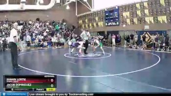 182 lbs Semifinal - Shawn Lortie, Spring Creek vs Jacob Dominguez, Virgin Valley.