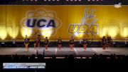 ACE Cheer Company - Angry Birds [2025 L1.1 Mini - PREP Day 1] 2025 UCA Sevierville Showdown
