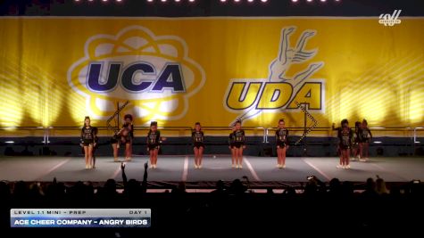 ACE Cheer Company - Angry Birds [2025 L1.1 Mini - PREP Day 1] 2025 UCA Sevierville Showdown