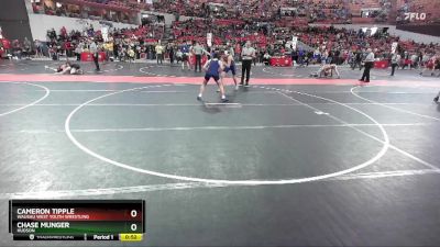 165 lbs Semifinal - Cameron Tipple, Wausau West Youth Wrestling vs Chase Munger, Hudson