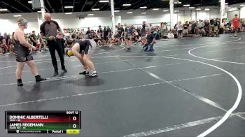 215 lbs Round 4 (6 Team) - James Regemann, Suzie WC vs Dominic Albertelli, VHW