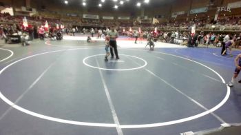 54 lbs Quarterfinal - Gage Cuesta, Brighton WC vs Elsa Grant, Athlos Wrestling