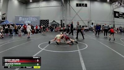 88 lbs Round 2 (4 Team) - Grayson Rakar, Kings K6 vs Brody Nelson, Mat Assassins Red