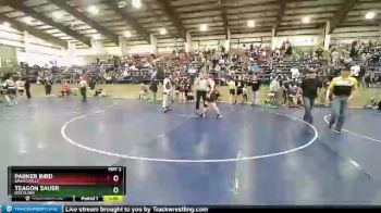 168 lbs Cons. Round 3 - Teagon Sauer, Box Elder vs Parker Bird, Grantsville