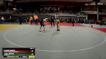 110 lbs Semifinal - Axel Rodas, Minneota vs Layne Barka, Dassel-Cokato-Litchfield