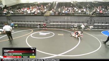 101 lbs Champ. Round 2 - Ethan Luu, Weber vs Paeyton Waddoups, Corner Canyon