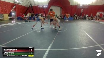 144 lbs Round 1 (4 Team) - Mason Brauch, Wadena-Deer Creek vs Lake Young, Cameron 2