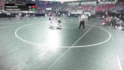 D3-120 lbs Champ. Round 1 - Carsen Voskuil, Cedar Grove-Belgium vs Ethan Hoyer, Brillion