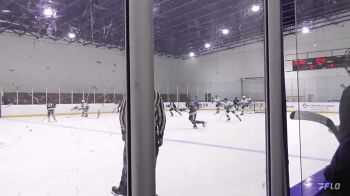 Replay: Home - 2023 Carolina Rage U14 vs Badgers U14 | Dec 1 @ 12 PM