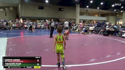 35+40 Quarterfinal - Carsyn Adkins, Bay County Elite Wrestling vs Theodore Nuar, Rabbit Wrestling Club