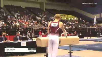Kyler Hartley - Pommel Horse, 5280 Gym CO - 2021 USA Gymnastics Development Program National Championships