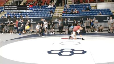132 lbs Champ. Rd Of 128 - Brayden Hawes, Minnesota vs Damian Tebano, New York