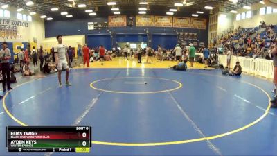 150 lbs Cons. Round 4 - Elias Twigg, Black Hive Wrestling Club vs Ayden Keys, Winter Springs