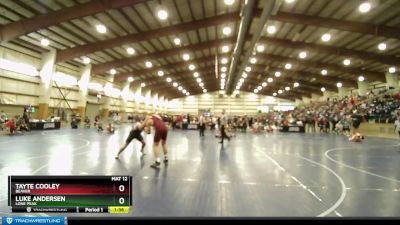 215 lbs Champ. Round 1 - Luke Andersen, Lone Peak vs TAyte Cooley, Beaver