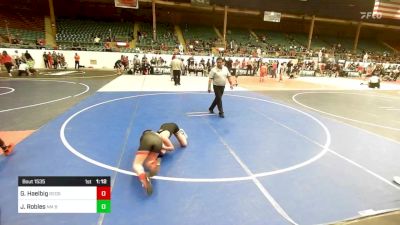 98 lbs Final - Gunner Haelbig, Redskins WC vs Julian Robles, NM Beast