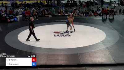 113 lbs Cons 16 #1 - Benjamin Walsh, IA vs Hunter Anderson, ID