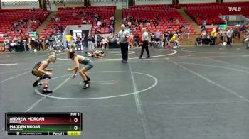 64 lbs Cons. Semi - Andrew Morgan, Donahue vs Madden Hodas, Shamrock