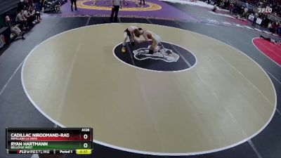 Cons. Round 2 - Cadillac Niroomand-Rad, Papillion-La Vista vs Ryan Hartmann, Bellevue West