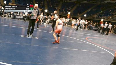 80 lbs Final - Sawyer Oakes, Carlisle vs Matthew Bly, Wyoming Area