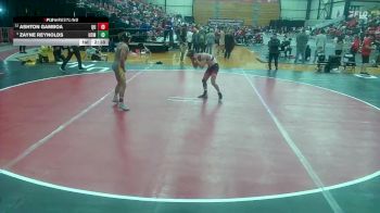 133 lbs Quarterfinal - Ashton Gamboa, Quincy vs Zayne Reynolds, Central Missouri