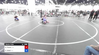 109 lbs Quarterfinal - Aitana Flores, Legends Of Gold LV vs Gia Gabel, Pikes Peak Warriors