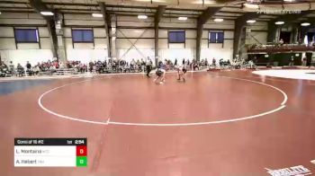 141 lbs Consi Of 16 #2 - Logan Montaina, New England College vs Aiden Hebert, Trinity