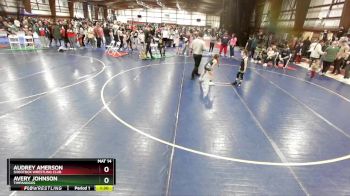 55 lbs Cons. Semi - Audrey Amerson, Shootbox Wrestling Club vs Avery Johnson, Timpanogos