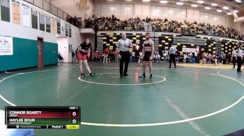 138 lbs Cons. Round 1 - Haylee Bour, CANTON MCKINLEY vs Connor Roarty, GREEN