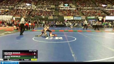 Semifinal - Brummie Boggus, Three Forks vs Quinn Rodewald, Big Sandy