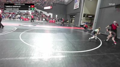 80 lbs Cons. Round 1 - Dekker Cullen, Chilton/Hilbert vs Briella Seefeldt, Wausau East