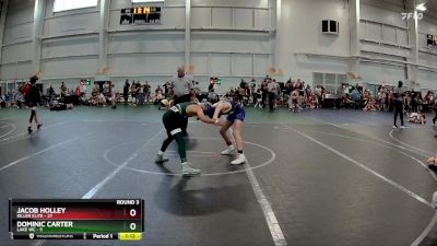 96 lbs Round 3 (8 Team) - Dominic Carter, Lake WC vs Jacob Holley, Killer Elite