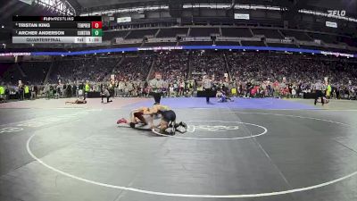 D1-126 lbs Quarterfinal - Archer Anderson, Clarkston HS vs Tristan King, Temperance Bedford