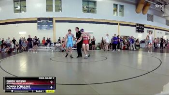 138 lbs Cons. Round 2 - Brody Gipson, Red Cobra Wrestling Academy vs Rowan Schilling, Howe Wrestling School LLC