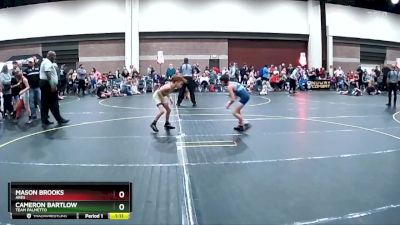 75 lbs Quarterfinal - Cameron Bartlow, Team Palmetto vs Mason Brooks, Ares