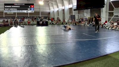 94 lbs Dominic DeMarco, Illinois vs Shay Lundvall, Iowa Blue