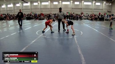 84 lbs Finals (2 Team) - Theo Pammer, Tri State Hammers vs Luke Hageman, OMP