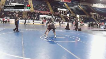 132 lbs Semifinal - Cole Mallon, Greater Lawrence vs Gavin Lane, Shawsheen
