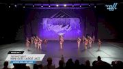 The Dance Vault - Mini Elite Large Jazz [2025 Mini - Jazz - Large Day 1] 2025 Power Dance Grand Nationals