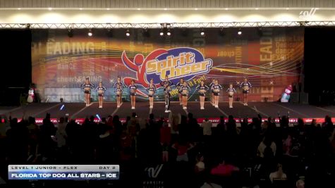 Florida Top Dog All Stars - Ice [2025 L1 Junior - Flex Day 2] 2025 Spirit Cheer Dance Grand Nationals & Cheer Nationals