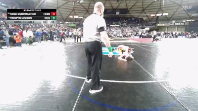 Boys 3A 150 lbs Cons. Round 4 - Tristyn Nelson, Central Kitsap vs Cole Schumacher, Enumclaw