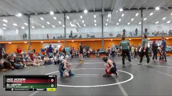 65 lbs Round 2 (3 Team) - Eli Gentry, Palmetto State Academy vs Jace Jackson, Gaston Grizzlies