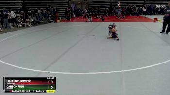 45 lbs Quarterfinal - Liam Mathiowetz, Wabasso vs Carson Finn, Bemidji