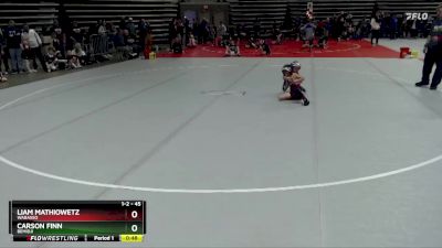 45 lbs Quarterfinal - Liam Mathiowetz, Wabasso vs Carson Finn, Bemidji