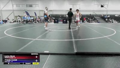 165 lbs Semis & 3rd Wb (16 Team) - Luca Felix, Pennsylvania vs Tyson Clear, Ohio Red