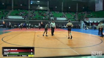 106 lbs Quarterfinal - Keanu Anderson, Jasper vs Harley Briscoe, Hayden