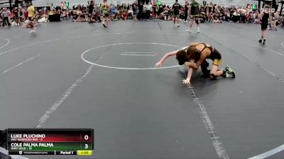 84 lbs Round 4 (8 Team) - Cole Palma Palma, Ohio Gold vs Luke Pluchino, Mat Warriors Red