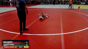 45 lbs Placement (4 Team) - Kashtyn Dorn, Adrian vs Colt Gambill, Grand Rapids