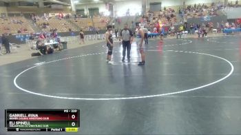 220 lbs Quarterfinal - Gabriell Ayaia, Higher Calling Wrestling Club vs Eli Spinell, Williamson Co Wrestling Club